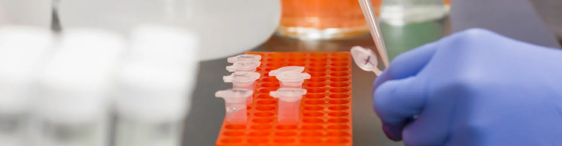 42712 graduate school cover letter