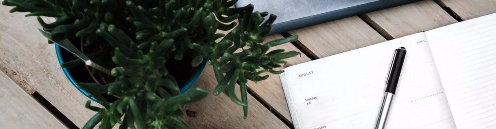 42799 cover letter formatting